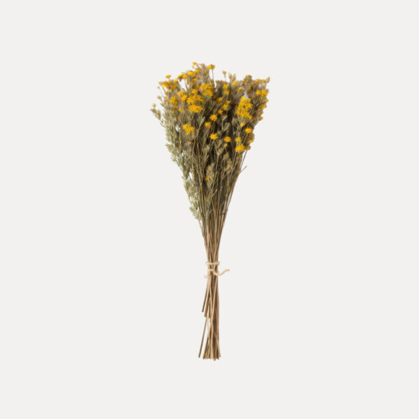 shop49-product41-1 Product Image