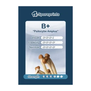B+ Sporeprint - Image 1