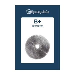 B+ Sporeprint - Image 3