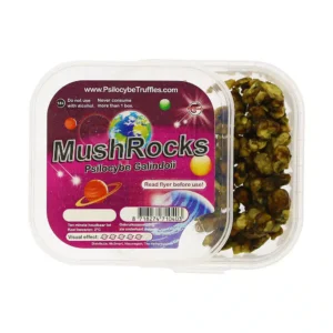 MushRocks 20 grams - Image 2