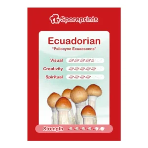 Ecuadorian Spore Print - Image 1