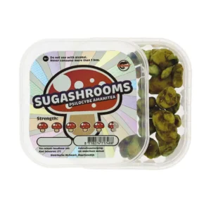 SugaShrooms 25 grams - Image 3